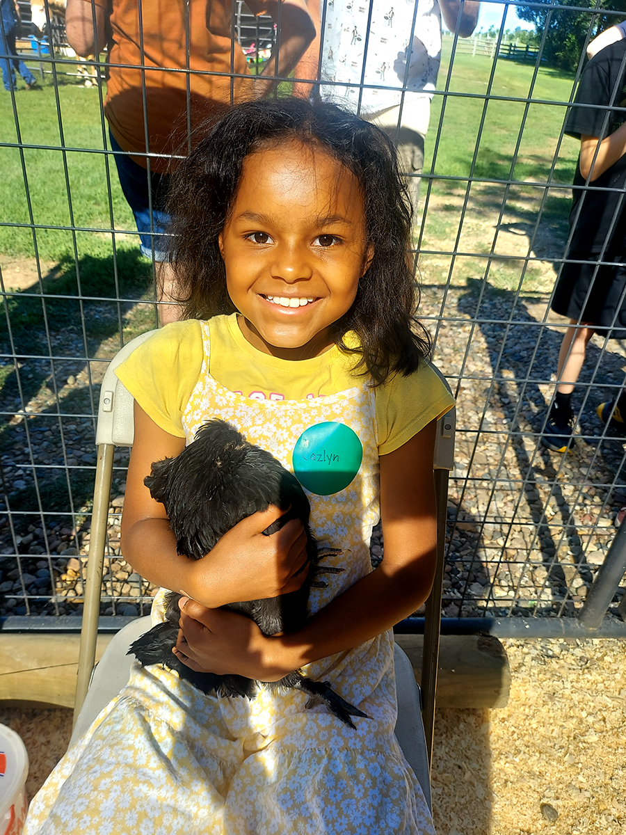 2331557235173400239 (1)