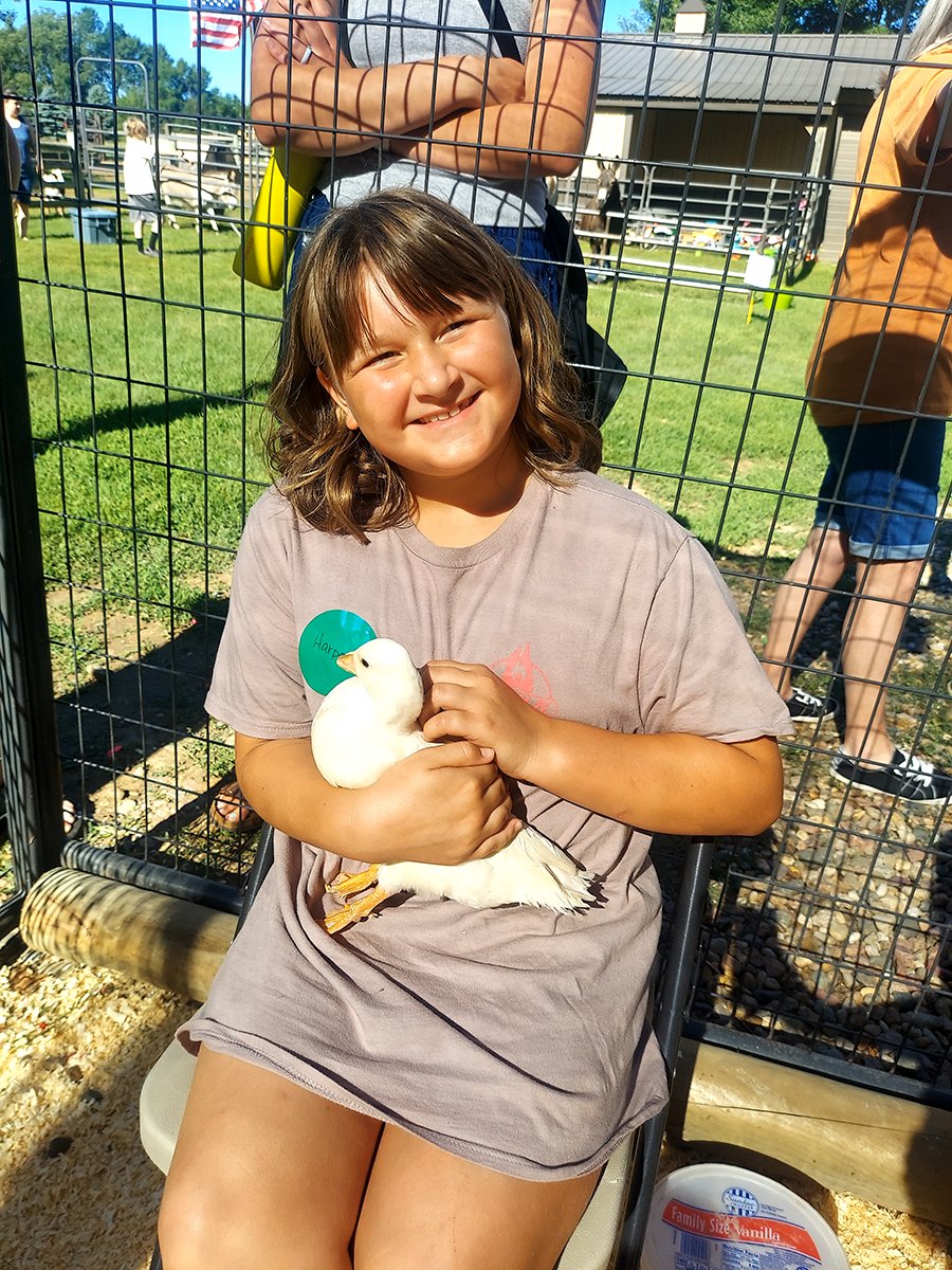 5890508785904578039 (1)