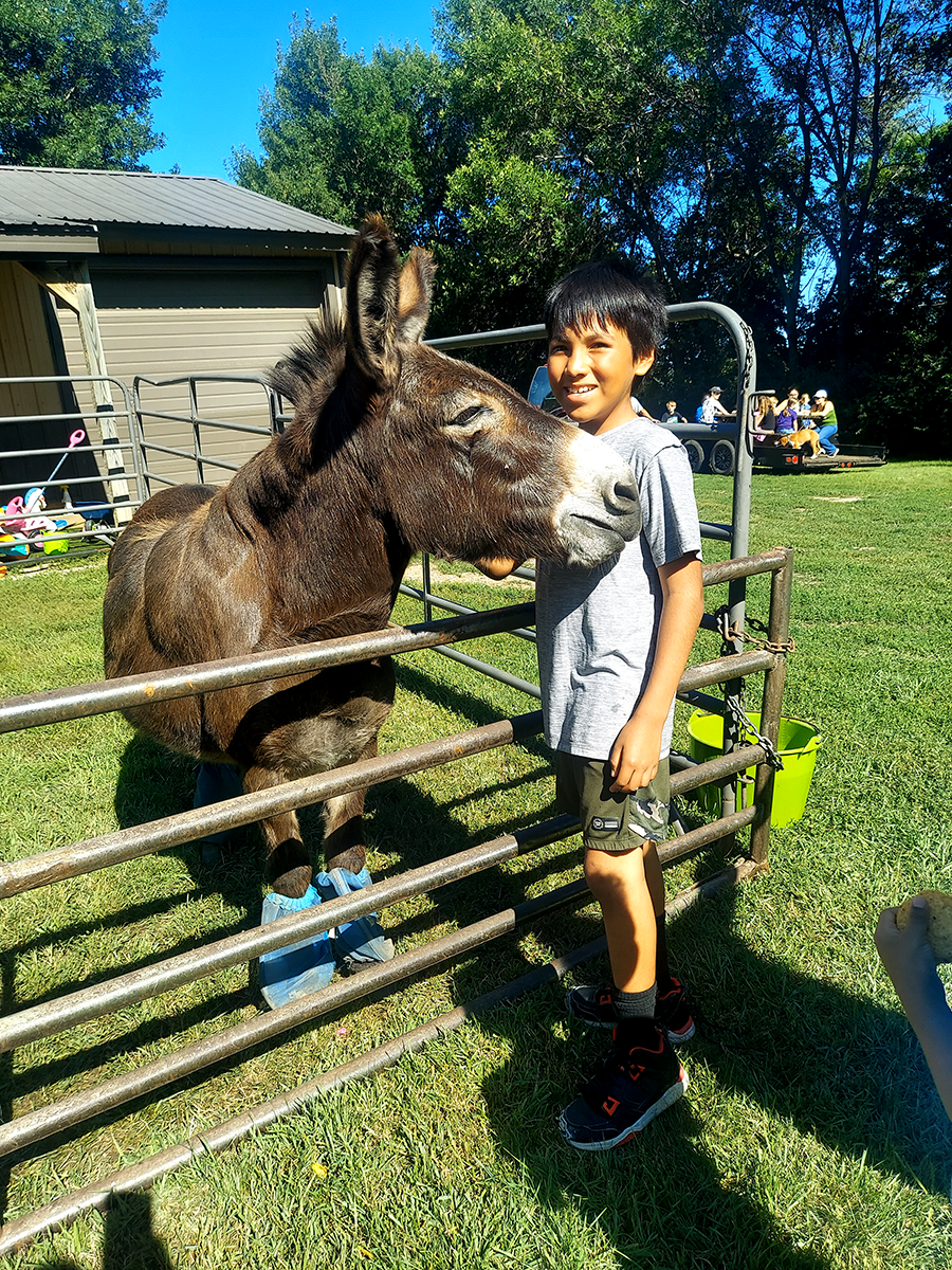 6342992955020724722 (1)-2