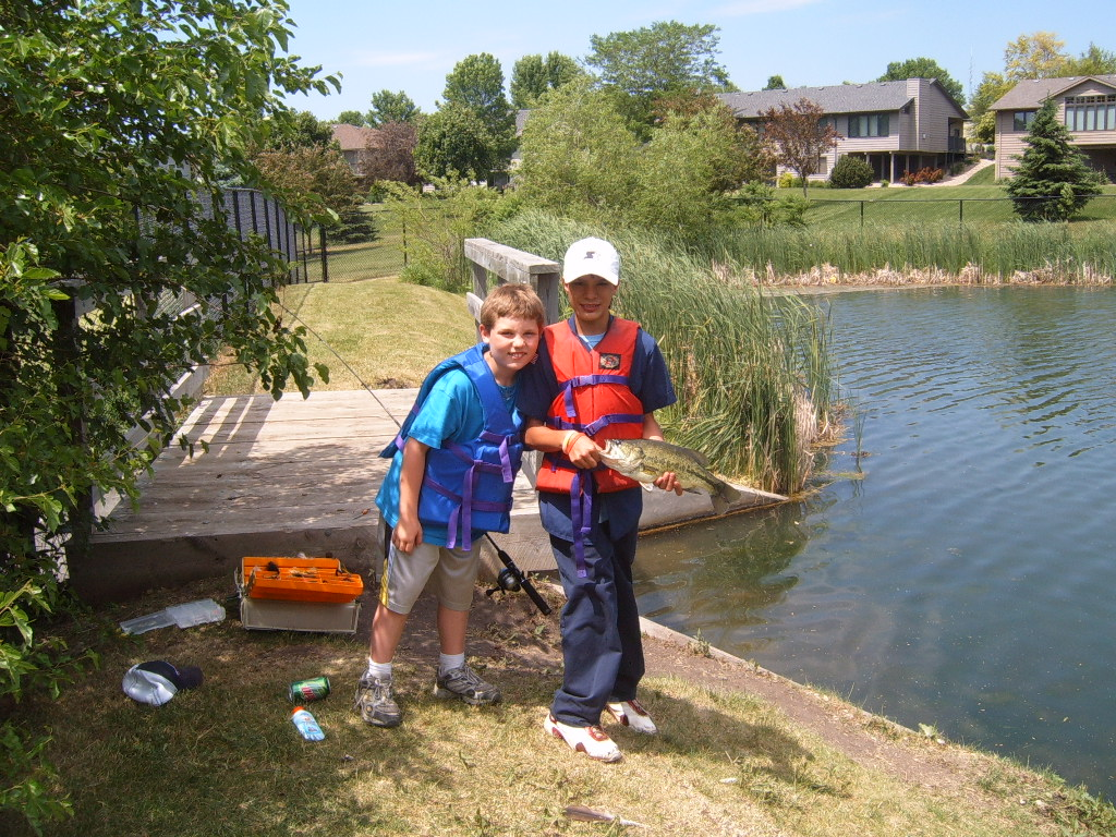 OLF FISH 1