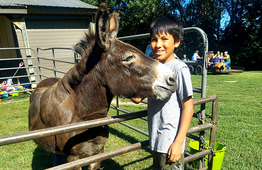 2025 Country Fun Day at the Farm